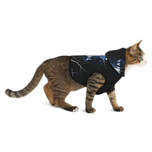 Load image into Gallery viewer, New! REVIVAL Cross - Pet Hoodie