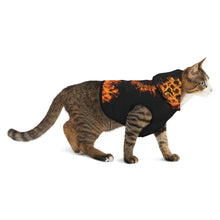 Load image into Gallery viewer, New! Ephesians 6:17 - Pet Hoodie