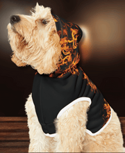Load image into Gallery viewer, New! Ephesians 6:17 - Pet Hoodie
